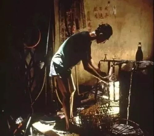 《九龙城寨：黑暗江湖中的生存法则》