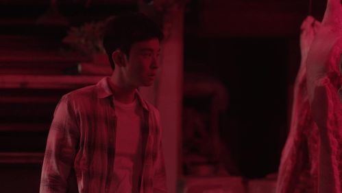 《京城生物 K프로젝트》：这部韩国科幻惊悚片能否成为2023年最炸裂的视觉盛宴