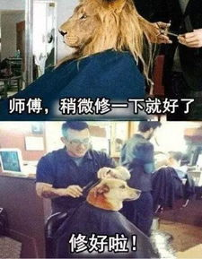 《从头爱上对的人》：这部治愈系爱情片为何让观众集体破防？