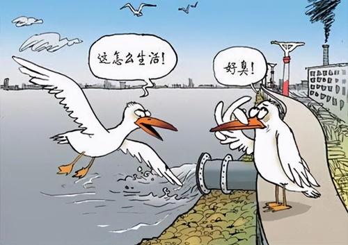 《一团乱麻2020》：这部黑色幽默喜剧为何让人笑中带泪？