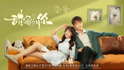 《一条叫王子的狗》：萌宠治愈系电影如何触动人心？