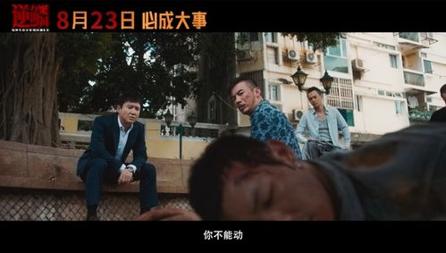 《一条龙》：香港黑帮电影的另类传奇