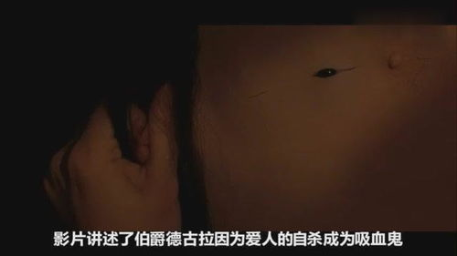 《一生一世2014》：爱情与命运的终极拷问，你相信命中注定吗？