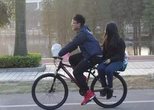 《一路向南2024》：公路片新标杆还是情怀收割机？