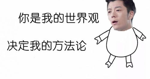 《万有引力》：当爱情遇上物理学，谁能逃过命运的牵引？