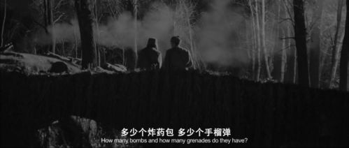 《三块石》：一部被低估的国产悬疑佳作？