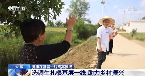 《上校村官》：一位军人的乡村振兴梦，能否点燃希望之火？