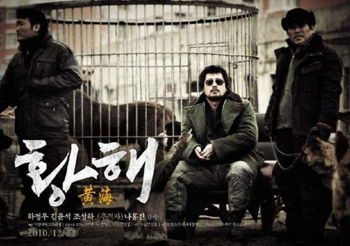 《不再沉默》：一部关于创伤与救赎的青春电影