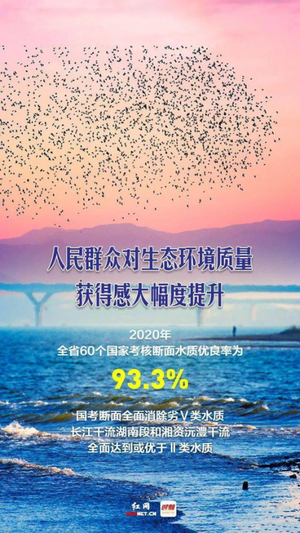 《不想一个人》：孤独时代的爱情寓言，还是都市人的心灵解药？