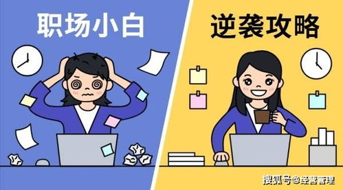 《不知羞耻2004》：一部挑战道德底线的黑色幽默经典