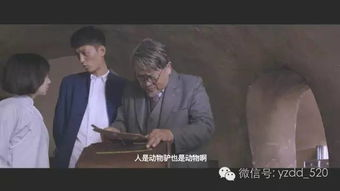 《与贼同屋》：当小偷闯入你的生活，你会怎么做？
