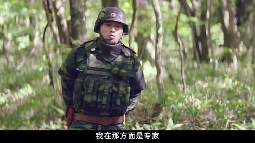 世上只有爸爸好