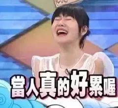 《东北插班生》：当东北爷们遇上南方校园，笑料与温情齐飞！