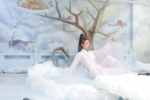《东瀛游侠》：一部跨越文化的武侠传奇
