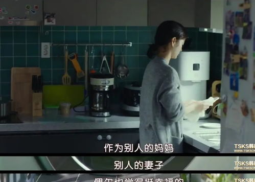 《主妇之谜》：平凡主妇背后的惊天秘密，你敢揭开吗？