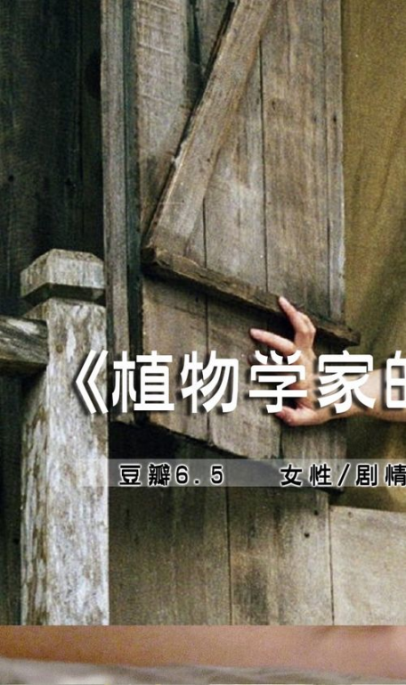 《乔和贝莉》：一段跨越时空的治愈之旅，还是又一部俗套爱情片？