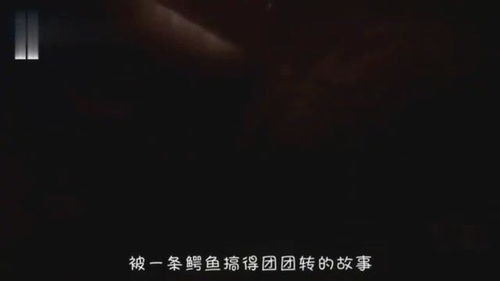 《九人禁闭室》：密室逃脱还是人性试炼？