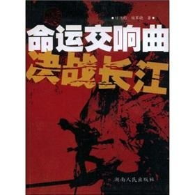 《命运/新章 最终回响》：Fate系列的全新巅峰还是情怀收割？