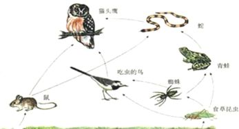 《噬神者》：一部颠覆你对末日题材认知的动画神作？