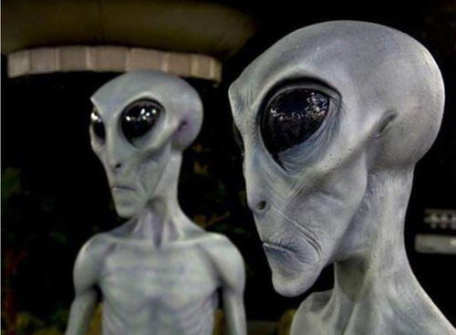 《地球人实在太凶猛了》：这部科幻神作为何让观众又哭又笑？