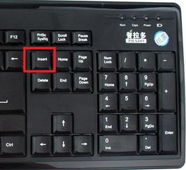 Word打字覆盖问题解析：5种原因与解决方案全指南