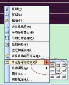 Word文档对齐选项详解:从基础操作到专业排版技巧