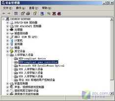 Windows 8相机驱动下载全攻略-官方渠道与替代方案详解