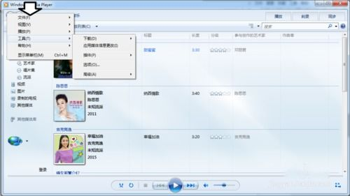 Windows Player循环播放全攻略-从基础设置到高阶应用