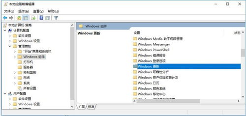 Windows10更新需要下载安装-完整操作指南与问题排查
