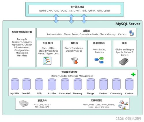 Windows下MySQL数据库备份全攻略：命令行与图形化操作详解