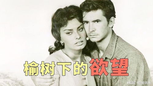 《不可原谅的他》：一场关于救赎与背叛的心灵拷问
