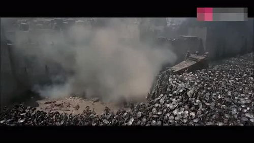 《不败凌霄花》：这部冷门佳片为何让观众泪崩？