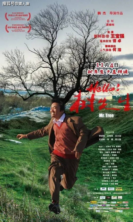 《乡村小皇帝》：一个孩子的成长史诗，