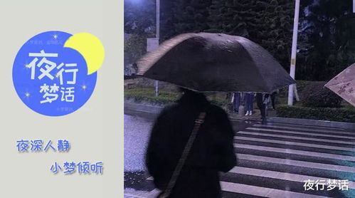 《单身行不行》：一部让你笑中带泪的都市爱情启示录