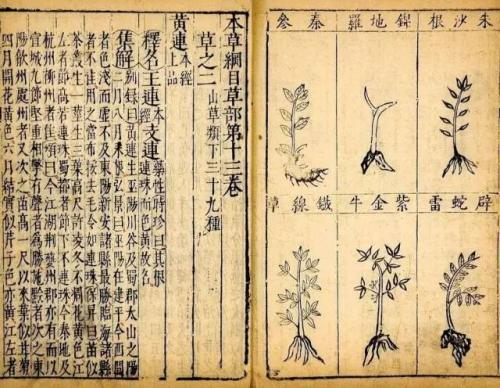 《少年中医说》：当青春遇上国粹，这部热血中医剧为何刷屏？