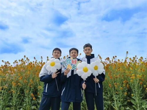 《跑住玩》：一部让你笑中带泪的青春冒