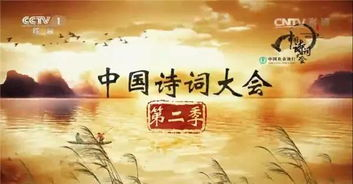 《中华好诗词第一季》：诗词之美如何点燃全民文化热潮？
