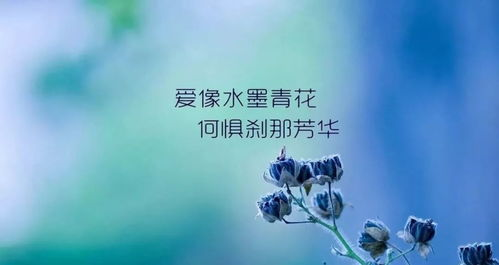 《Timelessz：选秀计划》——偶像养成还是人性试炼？