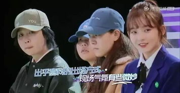 《小姐姐的花店》：治愈系综艺还是都市
