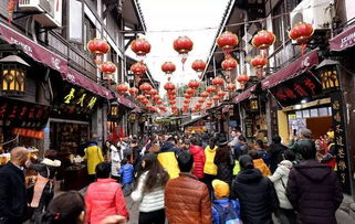 2025蓉澳城市春晚：一场跨越千里的文化盛宴