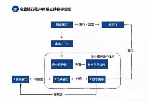 数字货币账户的分类