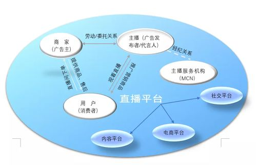 发行主体与法律地位的差异