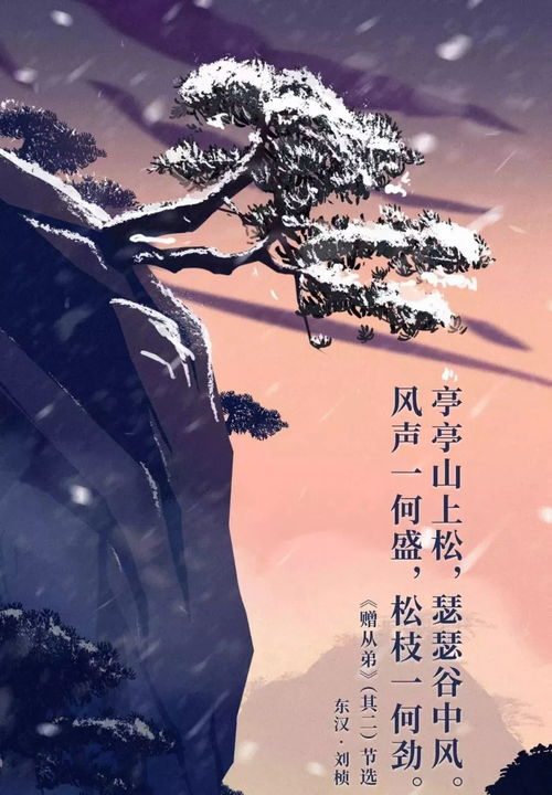《我不在那儿》：鲍勃·迪伦的六重人生，你读懂了几重？