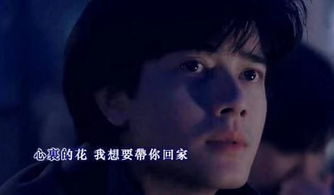 《我为你狂》：一部被遗忘的港式爱情经