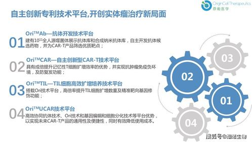 手游源码论坛社区入门指南-轻松加入开发者交流圈【手游版本库】手游源码网_手游发布网_手游源码库_手机游戏网三六版本库
