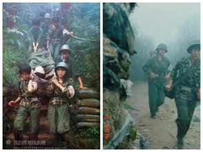《英雄祭》：一部被遗忘的战争史诗，还是被低估的人性拷问？