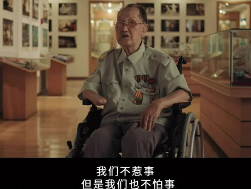 《苦菜花》：一朵在苦难中绽放的人性之