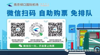禄口飞机运输机场,禄口机场几个航站