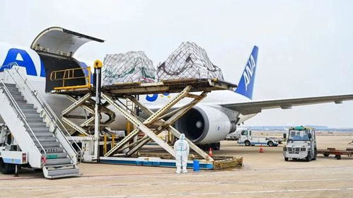 一、浦东机场航空当天件的服务内容与优势