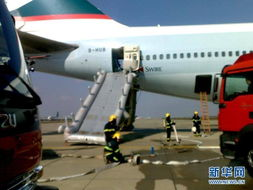 一、浦东机场航空件公司的业务范围